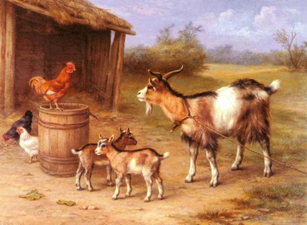 A Farmyard Scene With Goats And Chickens by Edgar Hunt