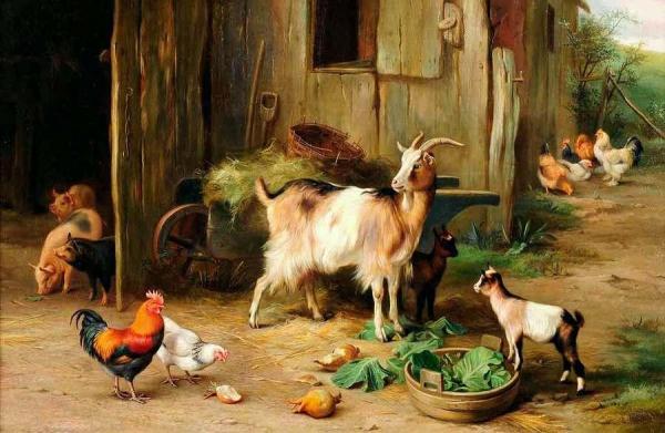 A Farmyard Scene With Goats And Chickens by Edgar Hunt