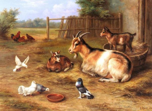 A Farmyard Scene With Goats, Chickens, Doves by Edgar Hunt