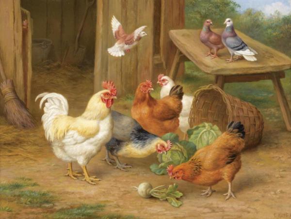 Chickens And Pigeons by Edgar Hunt