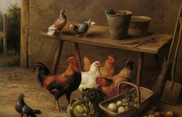 Chickens And Pigeons In A Farmyard by Edgar Hunt