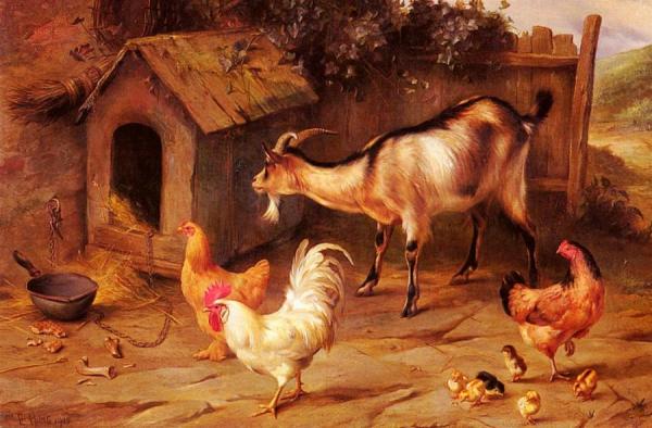 Fowl, Chicks And Goats By A Dog Kennel by Edgar Hunt
