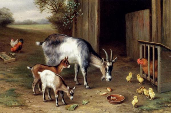 Goats And Poultry by Edgar Hunt Oil Painting Reproductions