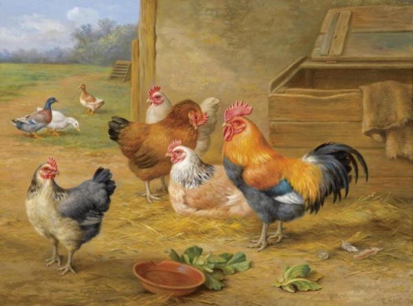 King Of The Roost by Edgar Hunt