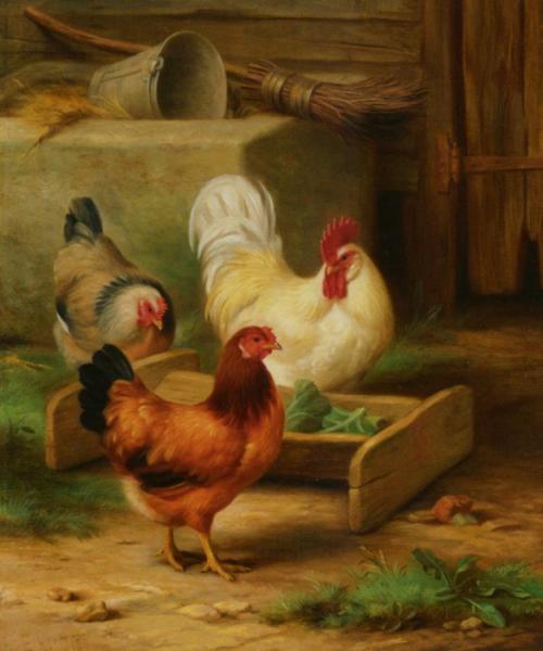 Poultry Feeding In A Barn by Edgar Hunt