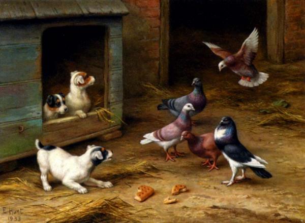 Puppies And Pigeons Playing By A Kennel by Edgar Hunt