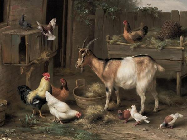 The Happy Farmyard by Edgar Hunt