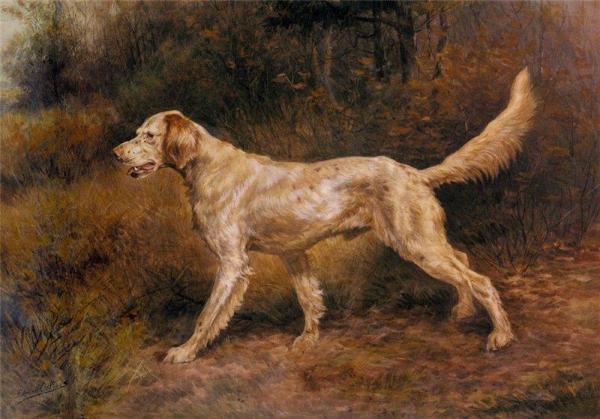 Commissioner, A Champion English Setter by Edmund Henry Osthaus
