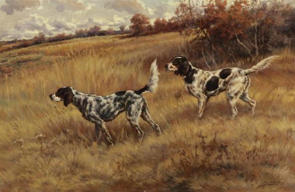 Two Setters In The Field by Edmund Henry Osthaus