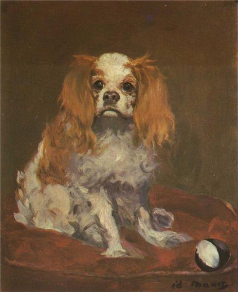 A King Charles Spaniel by Edouard Manet