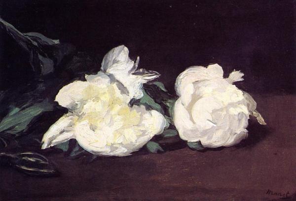 Branch Of White Peonies, With Pruning Shears by Edouard Manet