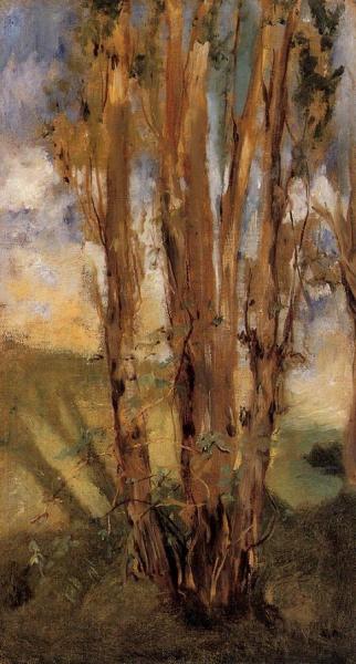 Study Of Trees by Edouard Manet