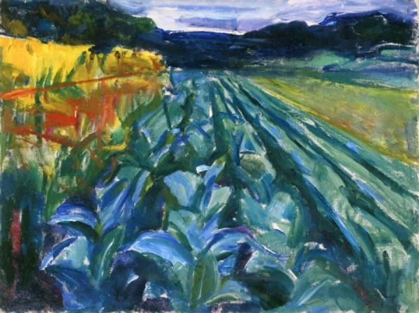 Cabbage Field by Edvard Munch Oil Painting Reproductions