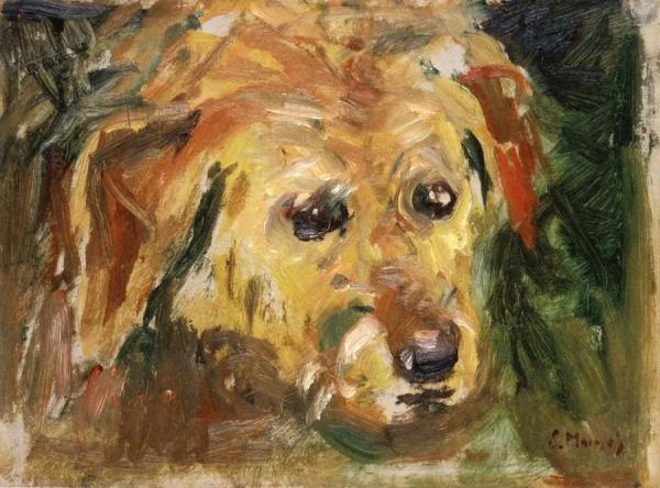 Dog's Face by Edvard Munch Oil Painting Reproductions