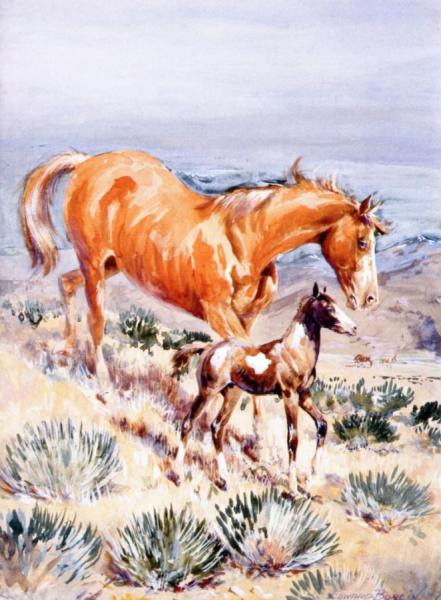 The Pinto Foal by Edward Borein Oil Painting Reproductions