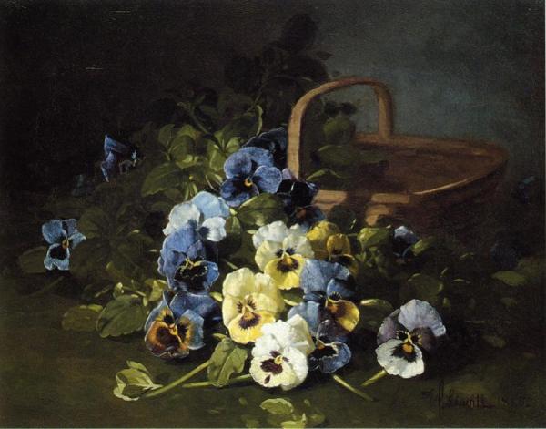 Pansies by Edward C. Leavitt