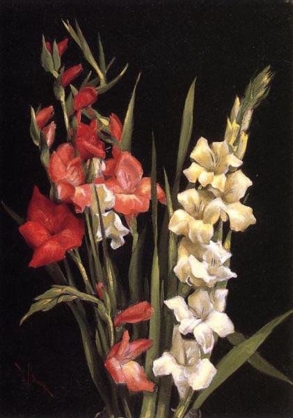 Still Life With Gladiolas by Edward C. Leavitt