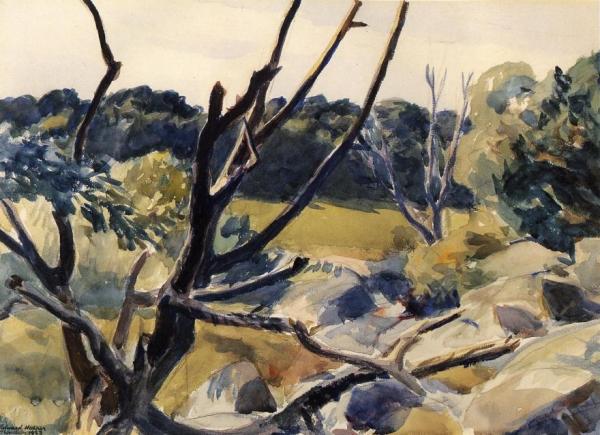 Dead Trees, Gloucester by Edward Hopper