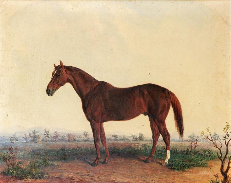Portrait Of A Horse In A Southern Landscape, 1869 by Edward Troye Oil Painting Reproductions