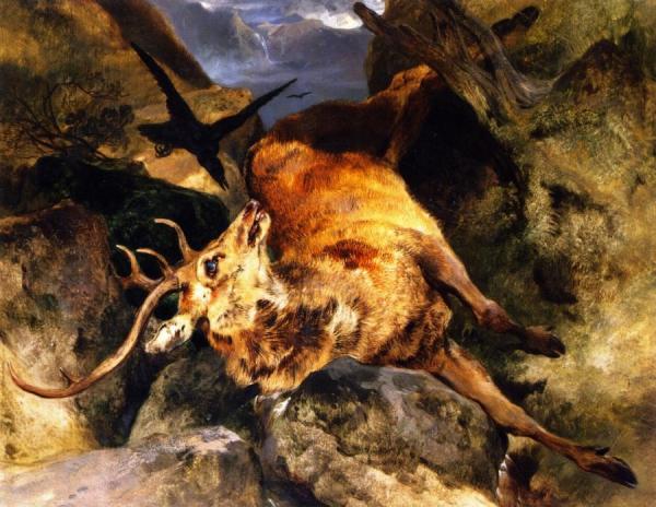 Edwin Henry Landseer A Deer Fallen From A Precipice