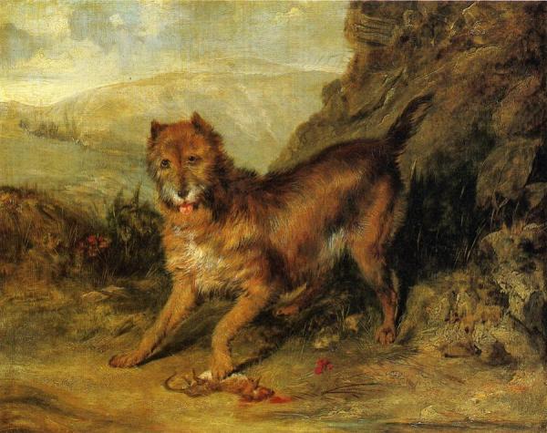 Bob by Edwin Henry Landseer