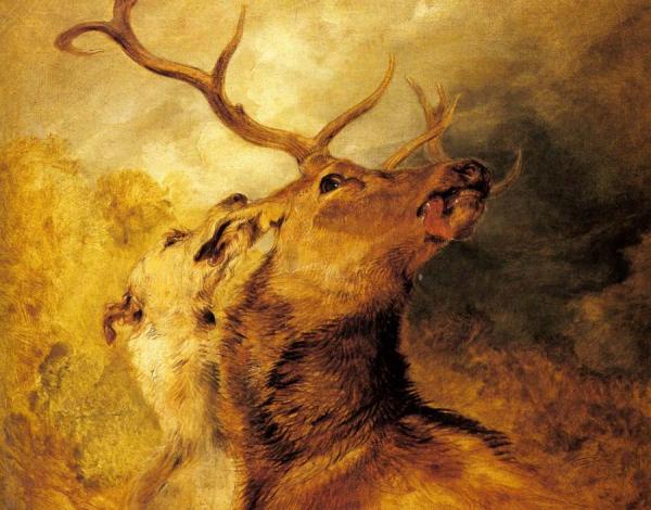 Edwin Henry Landseer Stag And Hound