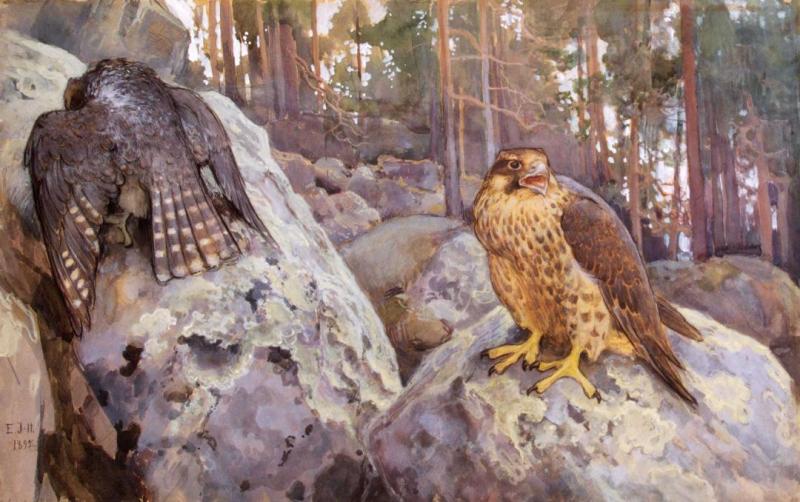Eero Nicolai Jarnefelt Falcons In The Forest, 1895