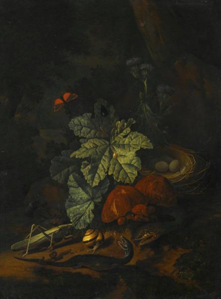 A Forest Floor Still Life With A Snake, A Snail, A Grasshopper, A Worm, A Lizard, Etc. by Elias Van Den Broeck