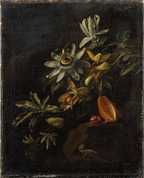 Still Life With Passion Flowers by Elias Van Den Broeck