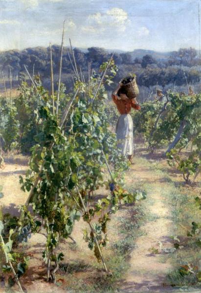 Grape Harvesting by Elin Kleopatra Danielson-gambogi
