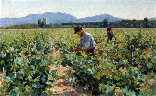 In The Vineyard by Elin Kleopatra Danielson-gambogi