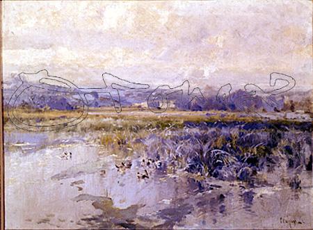 Marisma by Eliseo Meifren I Roig