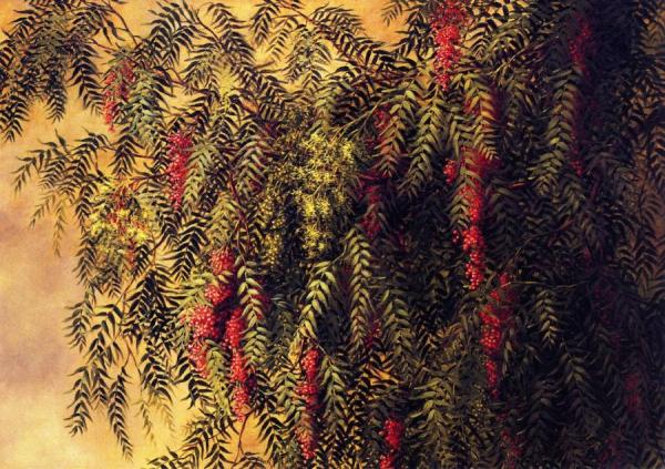 Pepper Trees by Ellen Burpee Farr