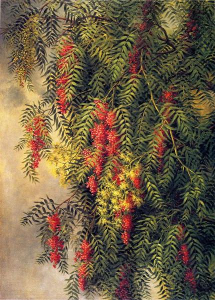 The Pepper Tree by Ellen Burpee Farr