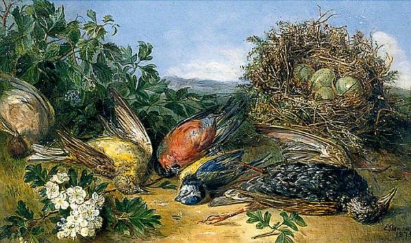 Dying Birds, Illustration For A Poem by Eloise Harriet Stannard Oil Painting Reproductions