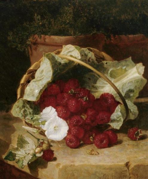 Raspberries In A Cabbage Leaf Lined Basket With White Convulus On A Stone Ledge by Eloise Harriet Stannard