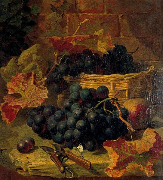 Still Life, Black Grapes by Eloise Harriet Stannard