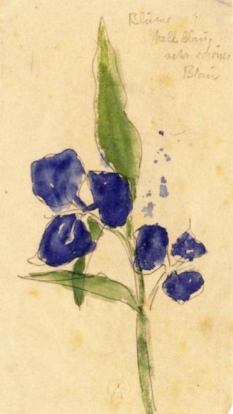 Blue Flower by Emil Nolde