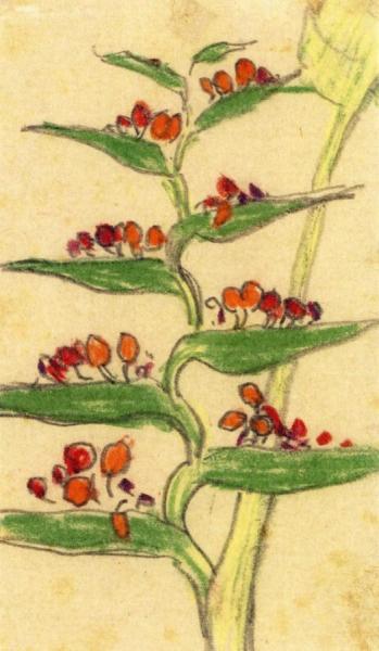 Tropical Plant by Emil Nolde