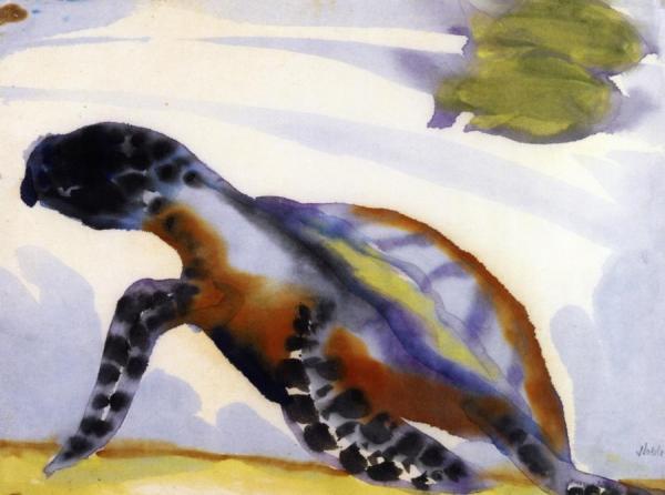 Turtle by Emil Nolde
