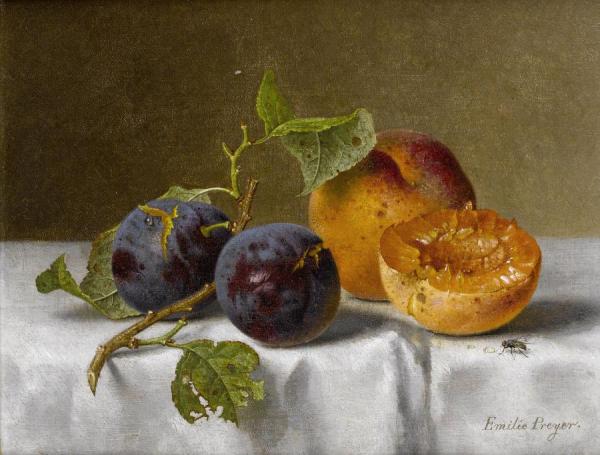 Plums And Apricots by Emilie Preyer Oil Painting Reproductions