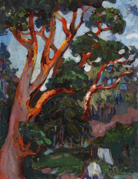 Emily Carr Arbutus Tree