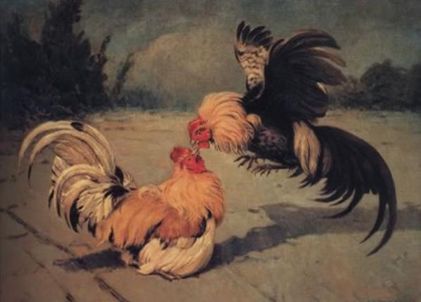 Gallos De Pelea by Enrique Martinez Cubells Oil Painting Reproductions