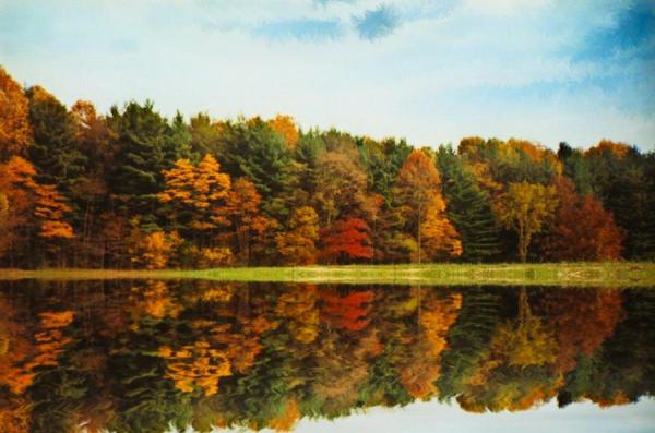Autumn Trees Reflected In Lake by Eric Sloane