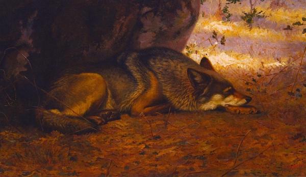 The Sleeping Wolf by Ernest Thompson Seton