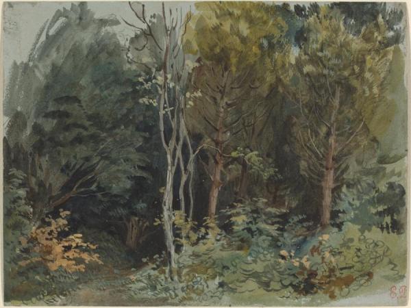 The Edge Of A Wood At Nohant by Eugène Delacroix