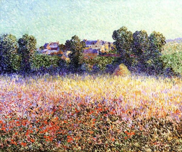 Field Of Poppies In Flower by Ferdinand Du Puigaudeau