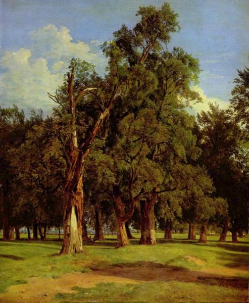 Alte Ulmen Im Prater,1831 by Ferdinand Georg Waldmuller