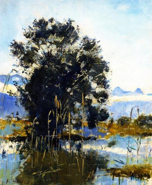 Marshland By Gwatt (lake Of Thun) by Ferdinand Hodler Oil Painting Reproductions