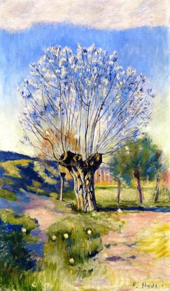 Willow Tree by Ferdinand Hodler